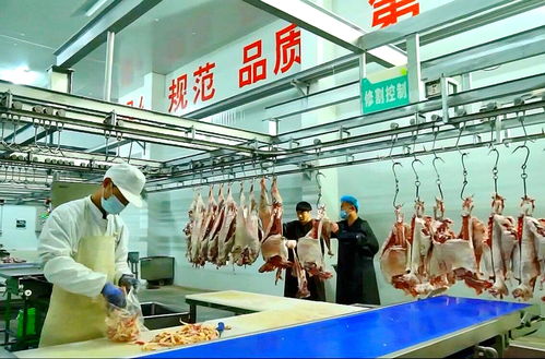 寧夏“身價百億”的羊 運(yùn)動咨詢服務(wù)如何煉成產(chǎn)業(yè)傳奇