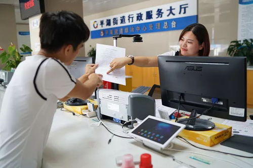 厲害了我的平湖——政務服務改革創新成效顯著，信息咨詢服務再升級